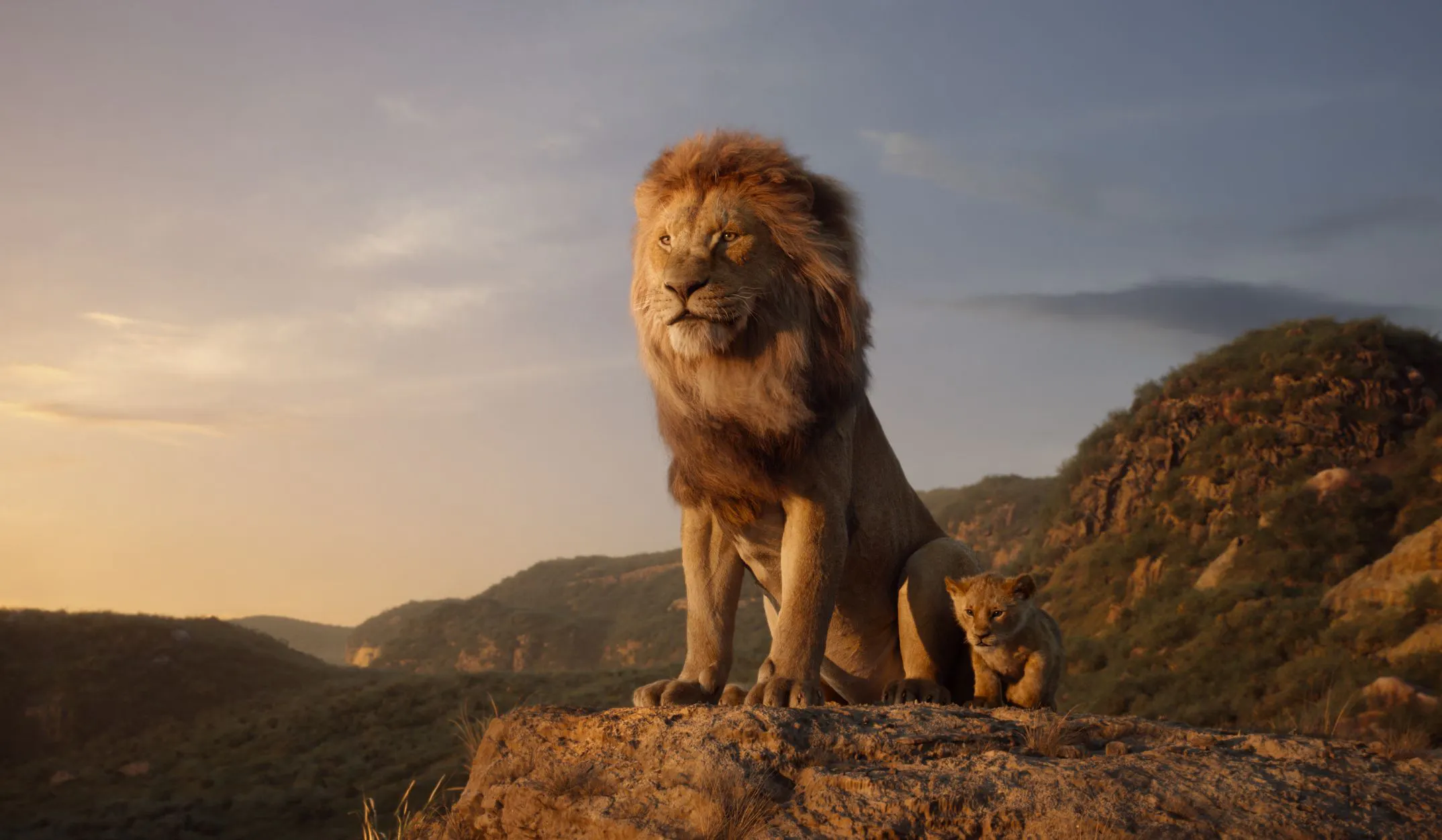 Protect The Pride WCN And Disney Team Up To Save Lions Lion Recovery